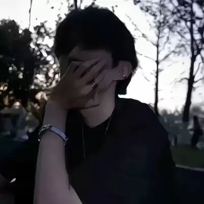 公凡梦